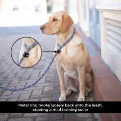 Shedrow K9 Camino Rope Slip Leash