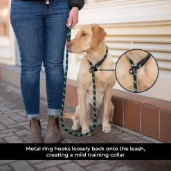 Shedrow K9 Camino Rope Slip Leash