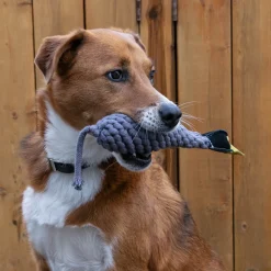 Shedrow K9 Canada Goose Rope & Water Bottle Dog Toy