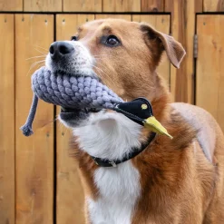 Shedrow K9 Canada Goose Rope & Water Bottle Dog Toy
