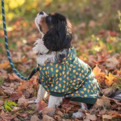 Shedrow K9 Canmore Dog Hoodie