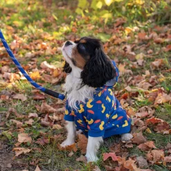 Shedrow K9 Canmore Dog Hoodie