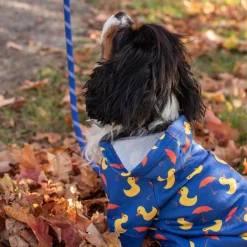 Shedrow K9 Canmore Dog Hoodie