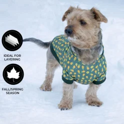 Shedrow K9 Canmore Dog Hoodie