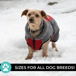 Shedrow K9 Chinook Dog Coat