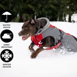 Shedrow K9 Chinook Dog Coat
