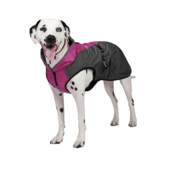 Shedrow K9 Chinook Dog Coat