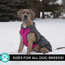 Shedrow K9 Chinook Dog Coat