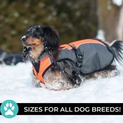 Shedrow K9 Chinook Dog Coat