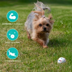 Shedrow K9 FlexiPlay Ball