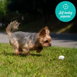 Shedrow K9 FlexiPlay Ball