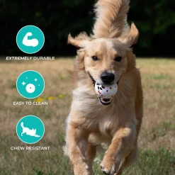 Shedrow K9 FlexiPlay Ball