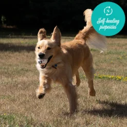 Shedrow K9 FlexiPlay Ball