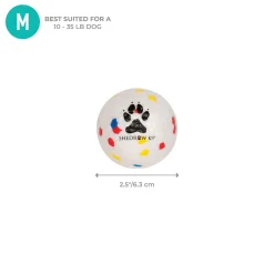 Shedrow K9 FlexiPlay Ball