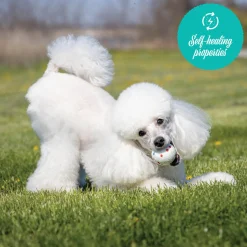 Shedrow K9 FlexiPlay Ball