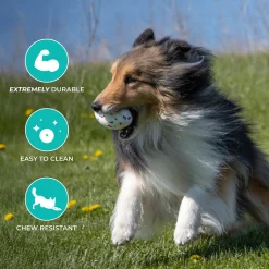 Shedrow K9 FlexiPlay Football