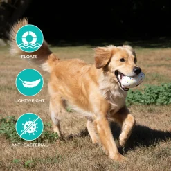 Shedrow K9 FlexiPlay Football