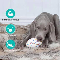 Shedrow K9 FlexiPlay Football