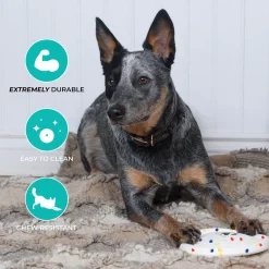 Shedrow K9 FlexiPlay Frisbee