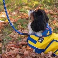 Shedrow K9 Harbour Rain Coat