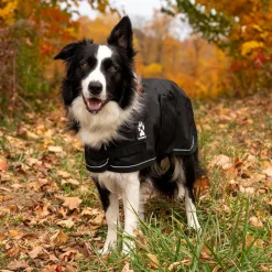 Shedrow K9 Harbour Rain Coat