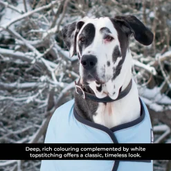 Shedrow K9 Richmond II Top Stitch Leather Collar