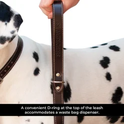 Shedrow K9 Richmond Top Stitch Leather Leash 1.5 m