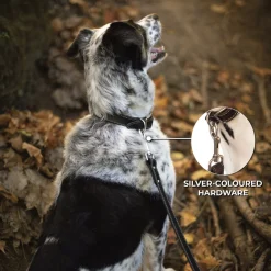 Shedrow K9 Richmond Top Stitch Leather Leash 1.5 m