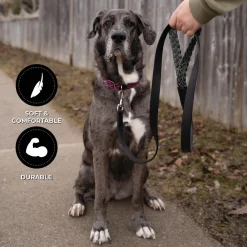 Shedrow K9 Rideau Braided Rope & Leather Leash