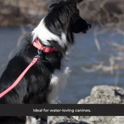 Shedrow K9 Tofino II Waterproof Collar