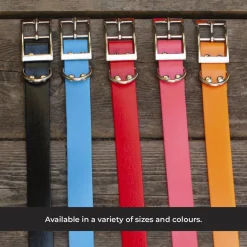 Shedrow K9 Tofino II Waterproof Collar