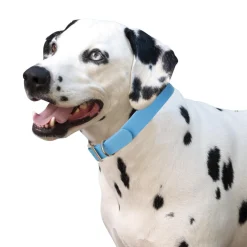 Shedrow K9 Tofino II Waterproof Collar