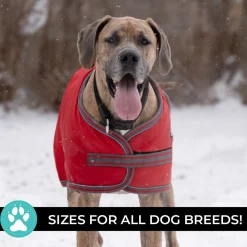 Shedrow K9 Vail Dog Coat