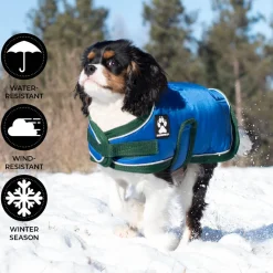 Shedrow K9 Vail Dog Coat