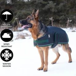 Shedrow K9 Vail Dog Coat