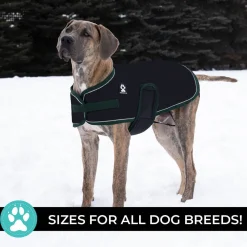 Shedrow K9 Vail Dog Coat
