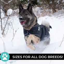 Shedrow K9 Vail Dog Coat