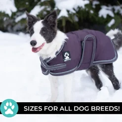 Shedrow K9 Vail Dog Coat