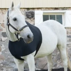 Shedrow Lycra Shoulder Guard