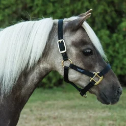 Shedrow Mini Nylon Halter