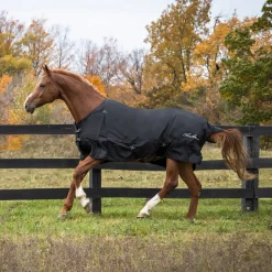 Shedrow Rainsheet 0 g