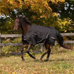 Shedrow Rainsheet 0 g