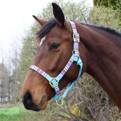 Shedrow Ribbon Halter