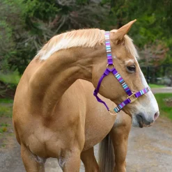 Shedrow Ribbon Halter
