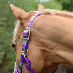 Shedrow Ribbon Halter