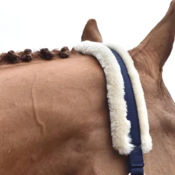 Shedrow Rose Gold Sheepskin Lined Halter