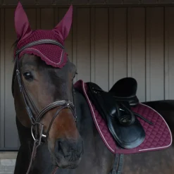Shedrow Scalloped Fly Veil