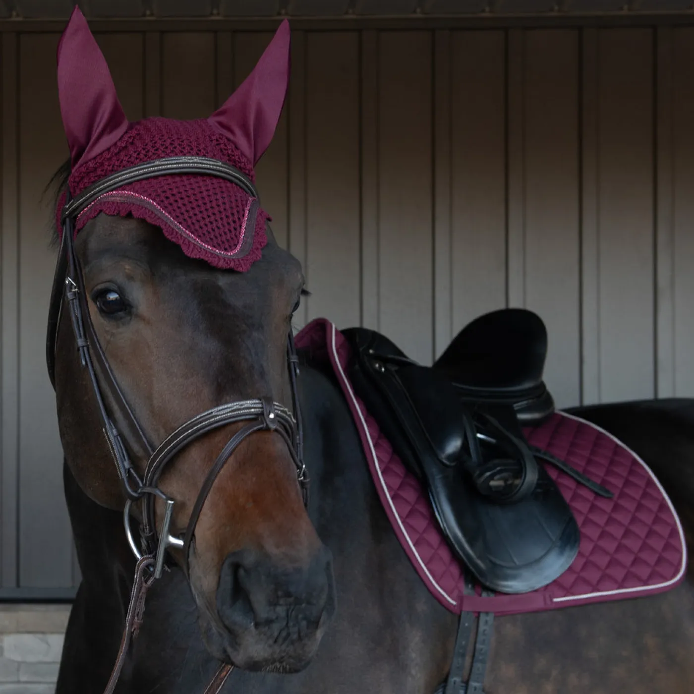 Shedrow Scalloped Fly Veil
