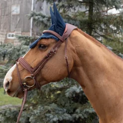Shedrow Scalloped Fly Veil