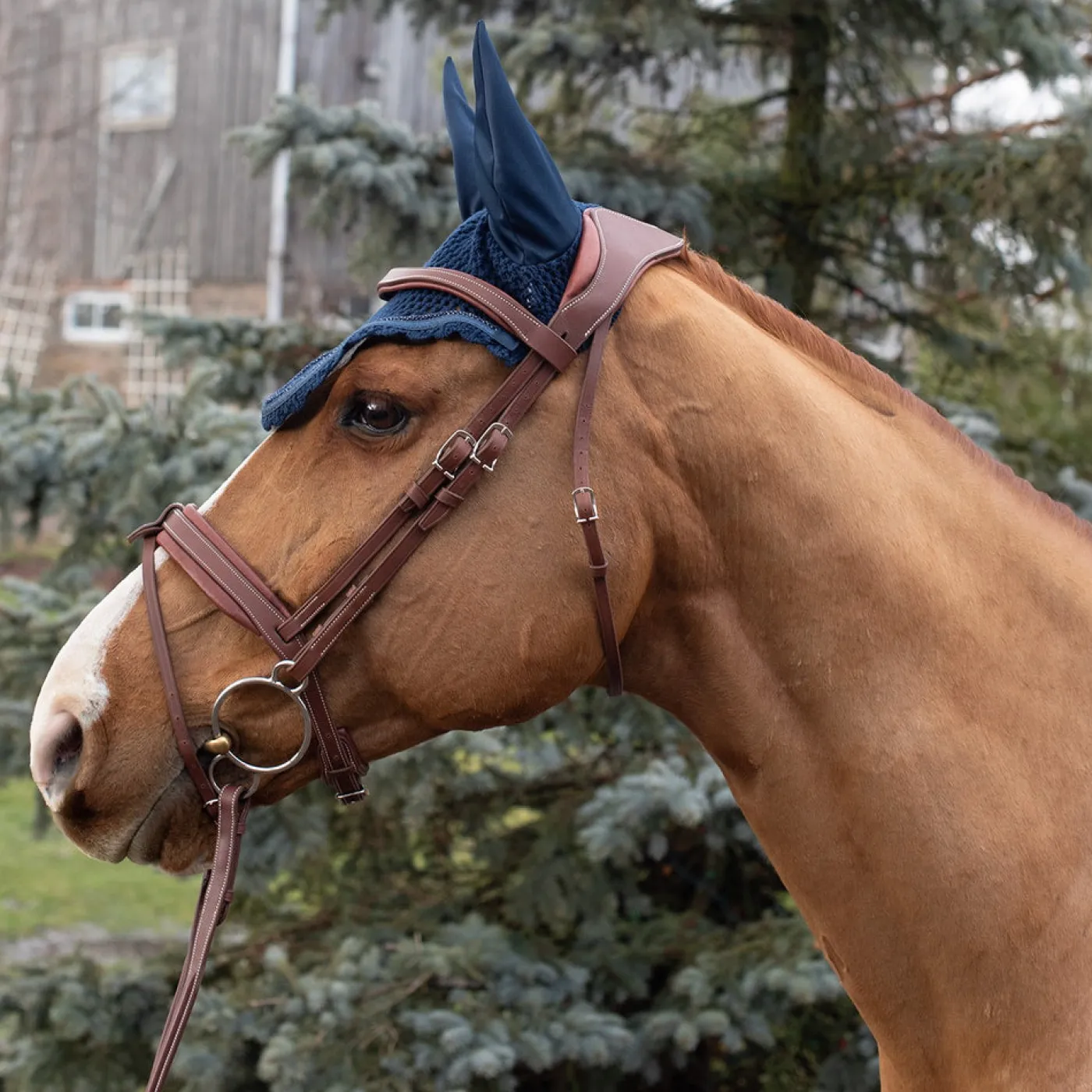 Shedrow Scalloped Fly Veil